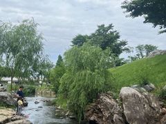 -羊山湖公园