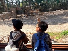 -上海野生动物园老虎餐厅