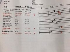 -北京观赏动物医院·24小时大型综合·猫专科·异宠专科