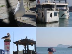 -海驴岛(荣成市)