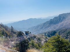 -朱雀国家森林公园