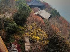 -杭州半山国家森林公园