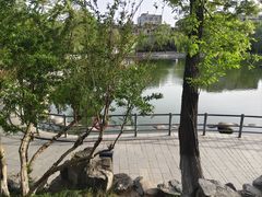 -莲湖公园