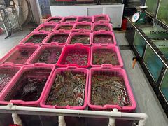 -众味海鲜大排档·活海鲜·潮汕味(南澳店)