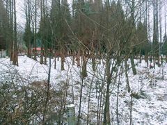 -武陵山森林公园