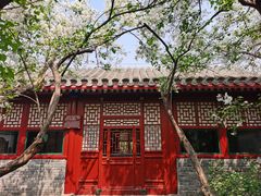 -北京鲁迅博物馆(北京新文化运动纪念馆鲁博馆区)