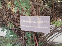 -北京鲁迅博物馆(北京新文化运动纪念馆鲁博馆区)