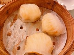 -葡京日丽(澳门葡京酒店)