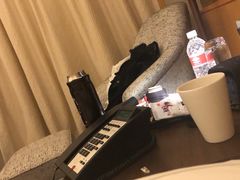 -新加坡文华东方酒店