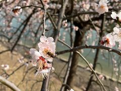 -白塘生态植物园