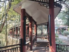 -潜山国家森林公园