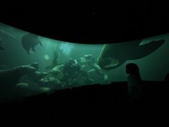 -珠海横琴国家地理探险家中心(创新方)