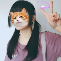 -Rise Hair上升造型