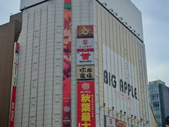 -秋叶原电器街