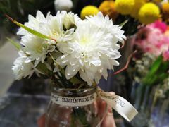 -植物学家的女儿(北马道巷店)