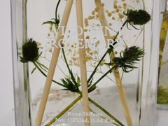 -BEAST野兽派(上海浦东嘉里城店)