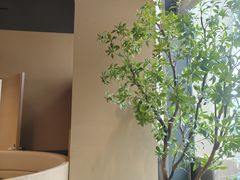 -金鼎轩(鸟巢北辰荟店)