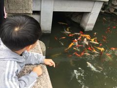 -金庸书院