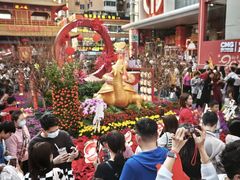 -越秀西湖花市(广州城市广场花卉店)