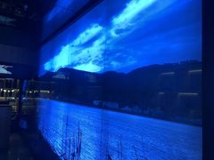 -滇铺子(欣都龙城店)