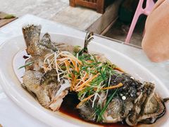 清蒸老虎石斑鱼-范饭椰林川湘味海鲜·椰子鸡(三亚湾椰梦长廊店)