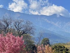 -崇圣寺三塔文化旅游区