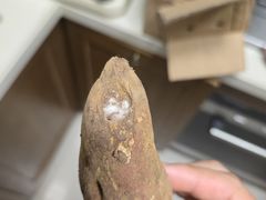 -周震馄饨