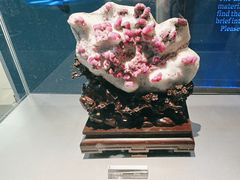 -中国地质博物馆