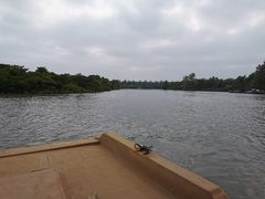 -东寨港红树林旅游区