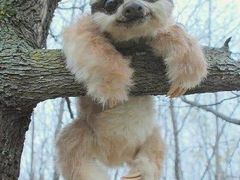 -沐泷泉(南风大剧院店)