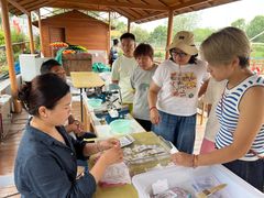 -苏州太湖西山岛开心农场