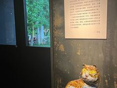 -元白和创园展厅