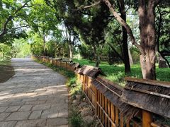 -共青国家森林公园-南大门停车场