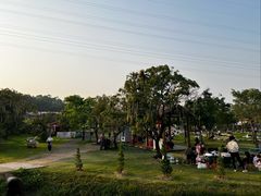 -长洲岛都市农业公园