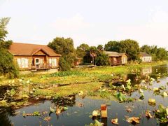 -金龟岛渔村
