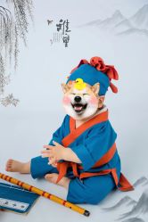 -倾城宝贝儿童摄影(浦东金谊店)