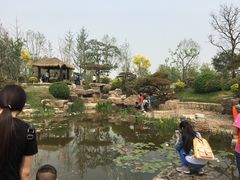 -武清南湖绿博园