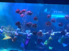 -泉城欧乐堡海洋极地世界