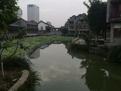 -龙潭水乡