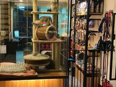 -小尾巴宠物店(万科·金域华庭店)