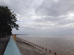 -瀛洲公园
