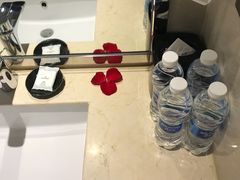 -成都天府丽都喜来登饭店