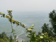 -秦岭风景区