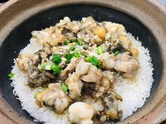 -红星光发煲仔饭(大石街店)