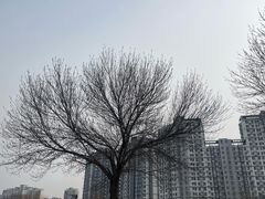 -太阳宫公园