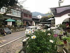 -龙井村