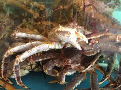 辣炒板蟹-蟹之国·精品蟹料理(极地店)