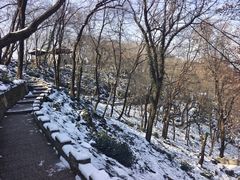 -永泉忆江南12景区