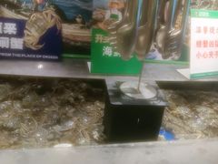 -亚马逊海鲜自助(梅溪湖步步高店)