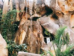 -杭州开元森泊度假乐园